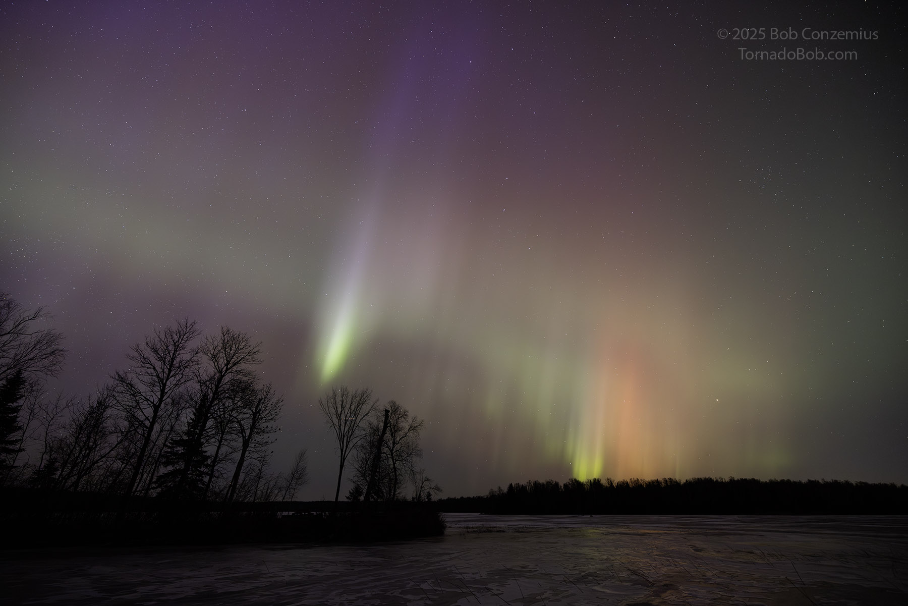 Nice Auroras