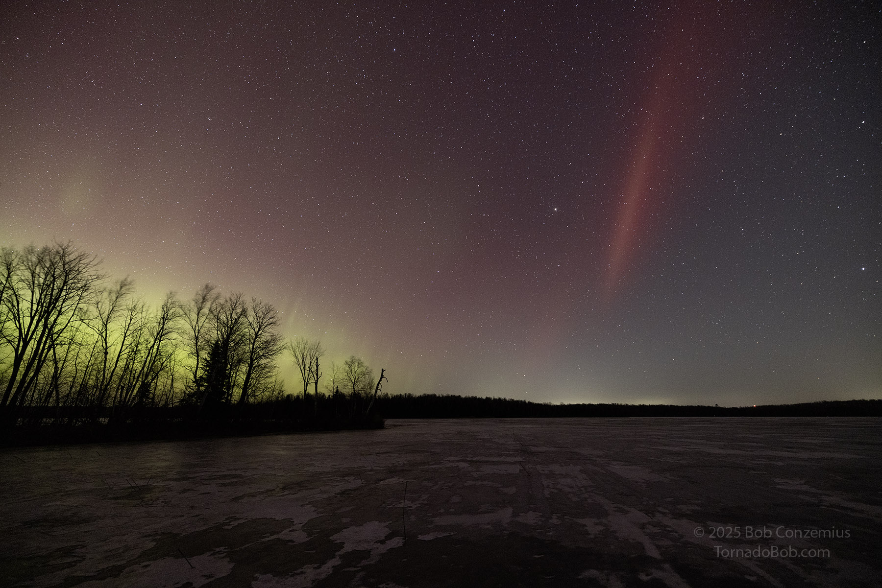 Nice Auroras