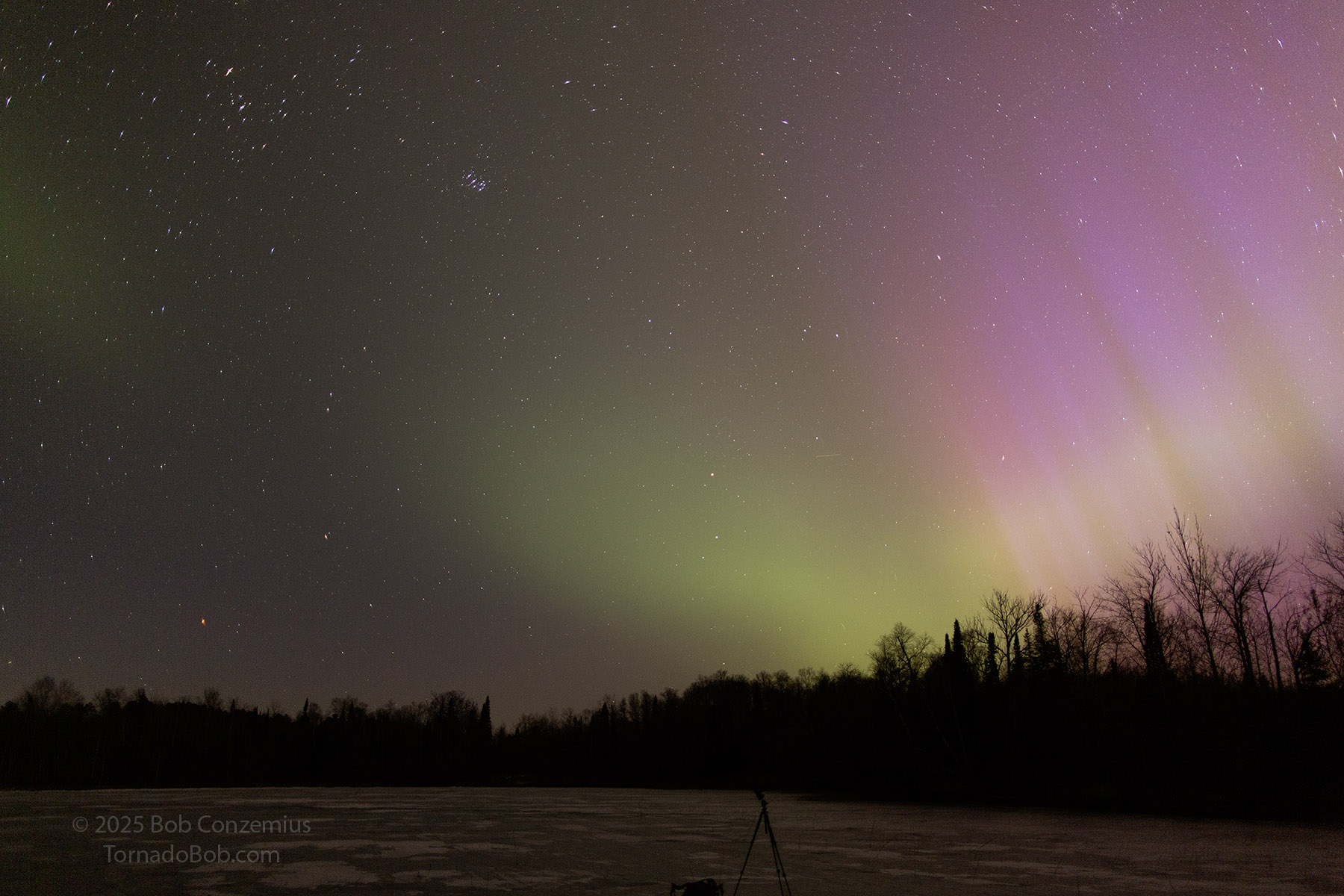 Nice Auroras
