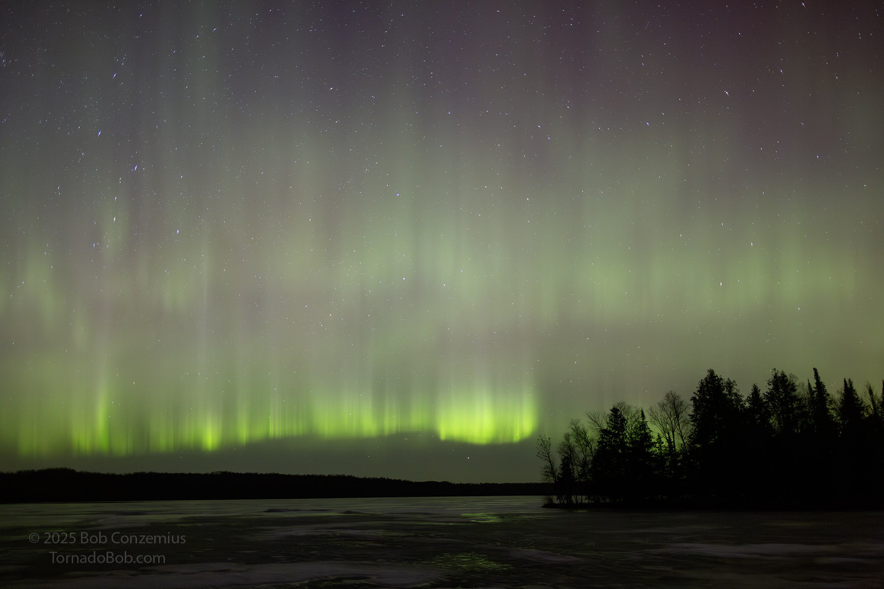 Nice Auroras