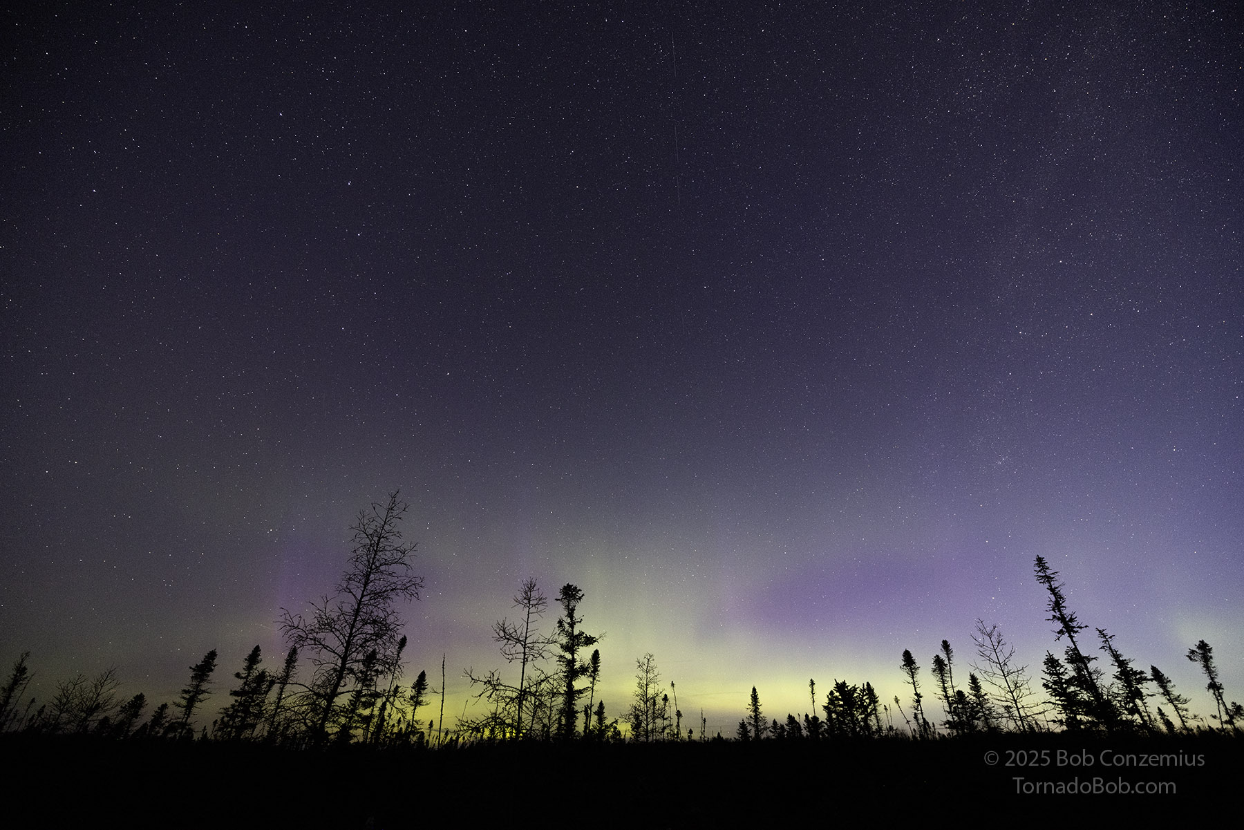 Nice Auroras