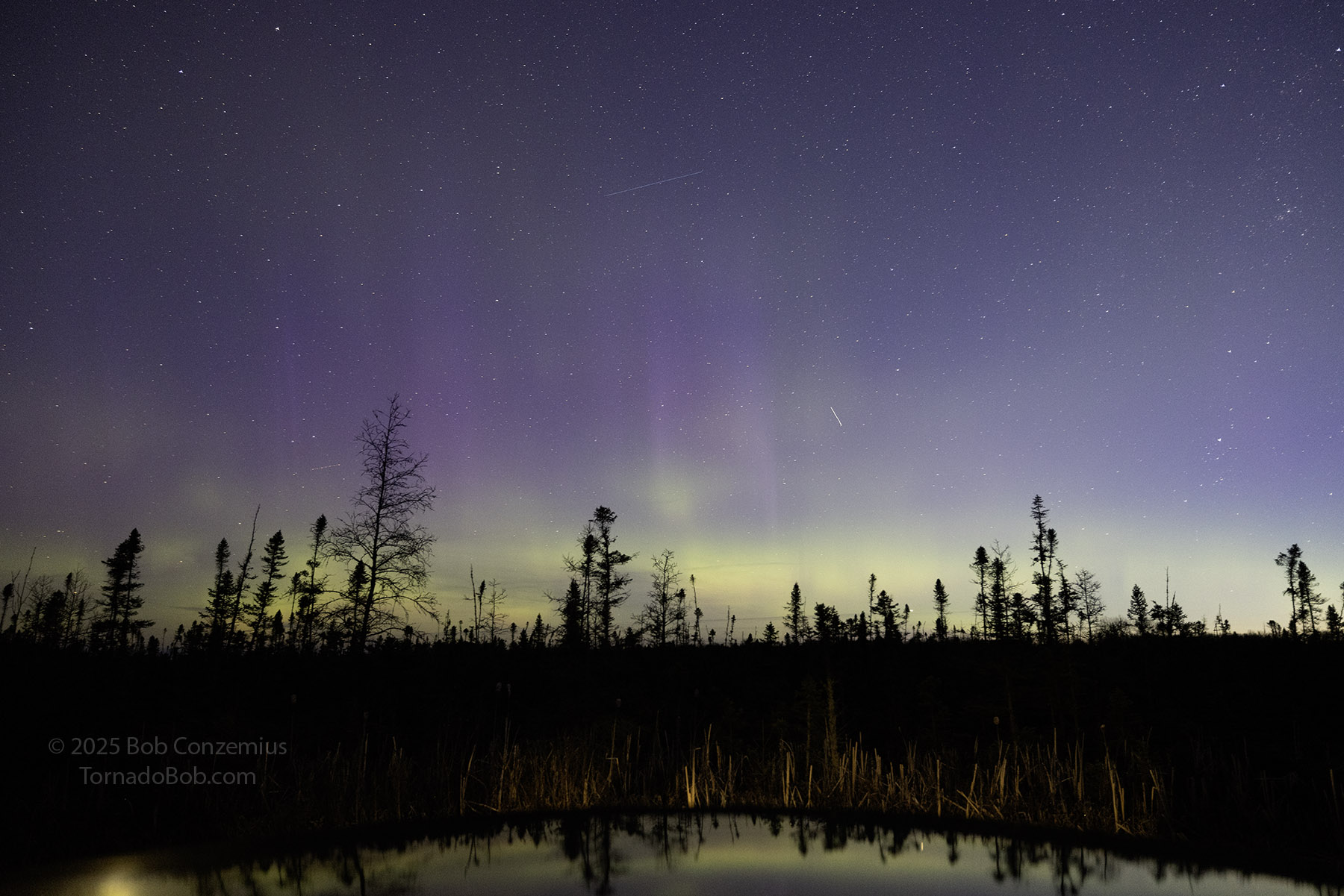 Nice Auroras