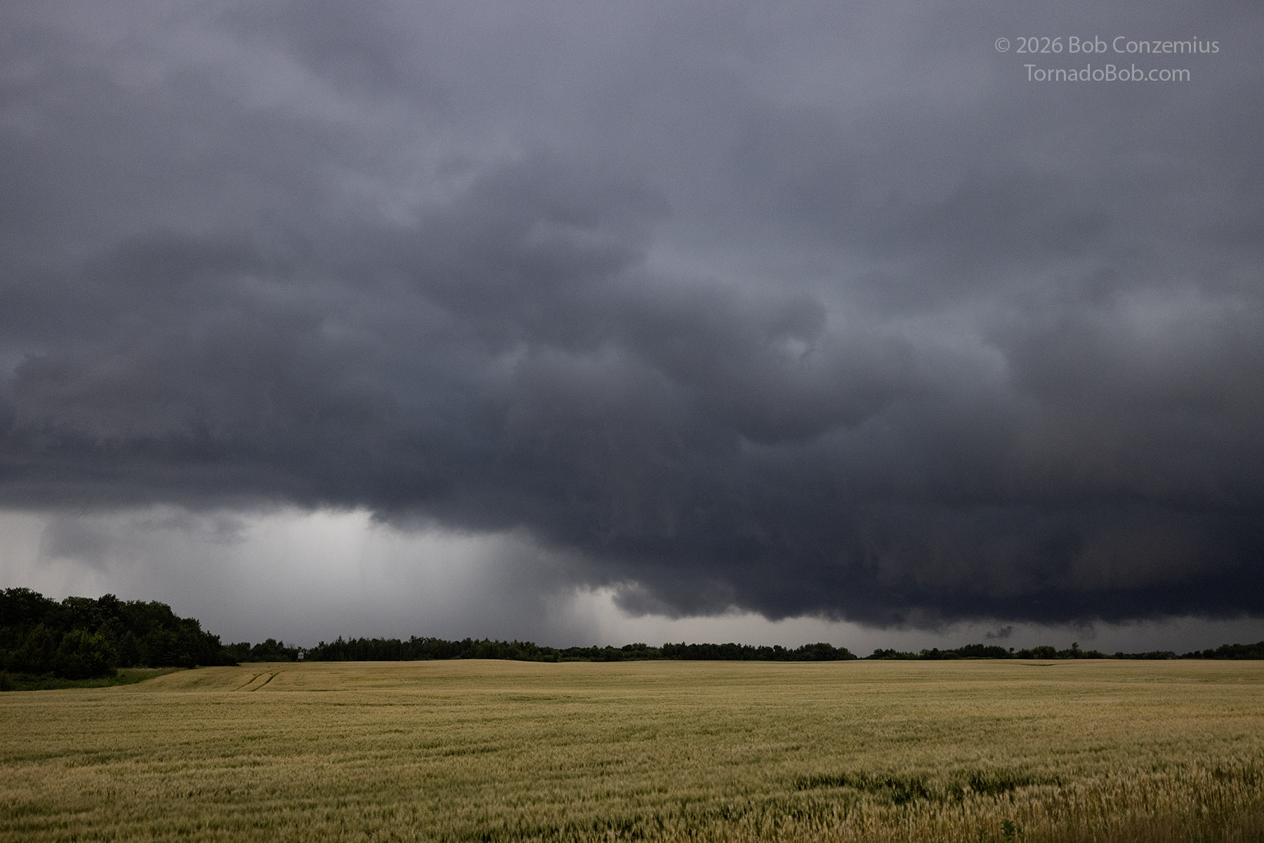 Storm south of Gully, MN at 8:33 PM 7/24/2026.