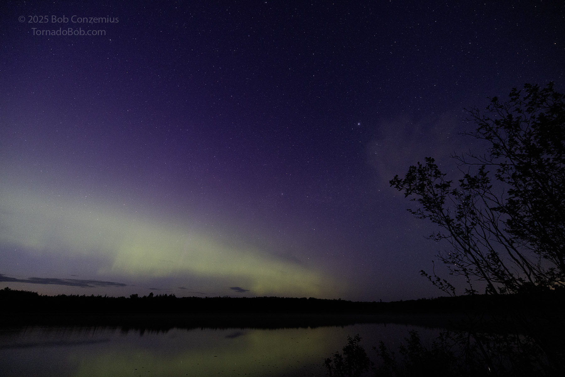 Nice Auroras