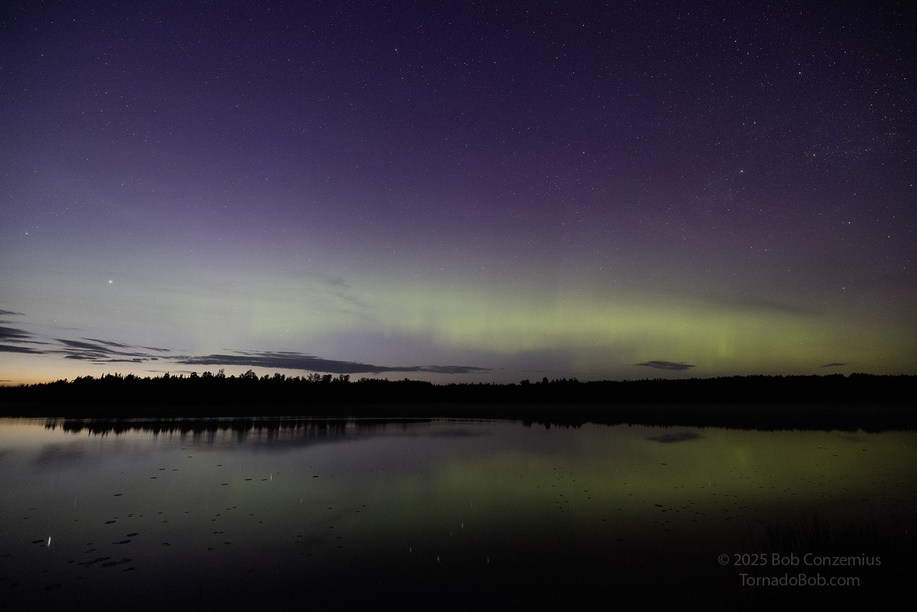 Nice Auroras