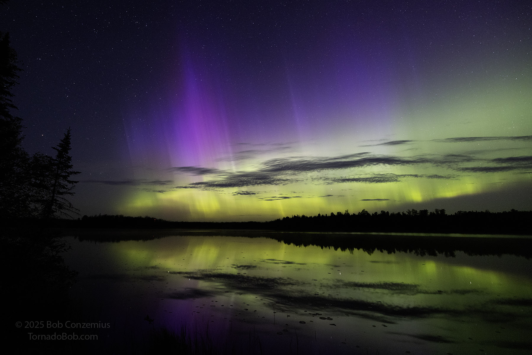 Nice Auroras