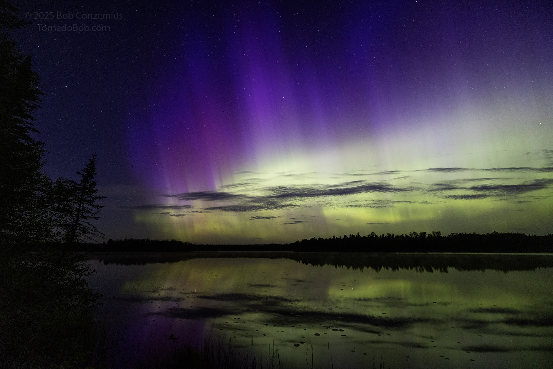 Nice Auroras