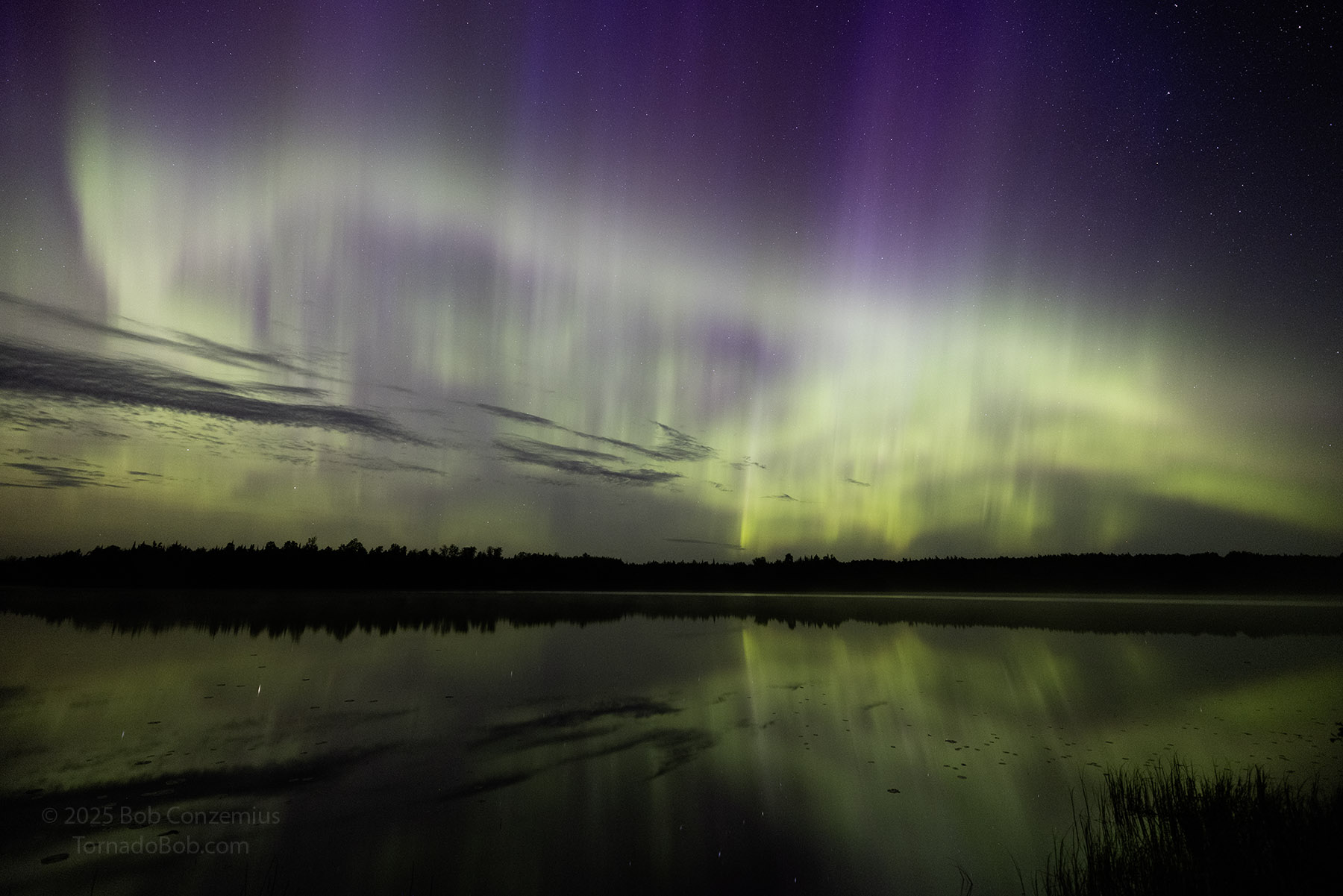 Nice Auroras