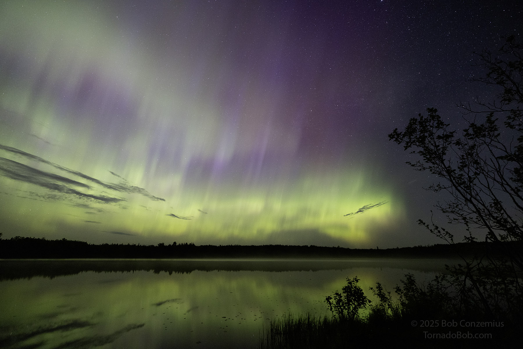 Nice Auroras