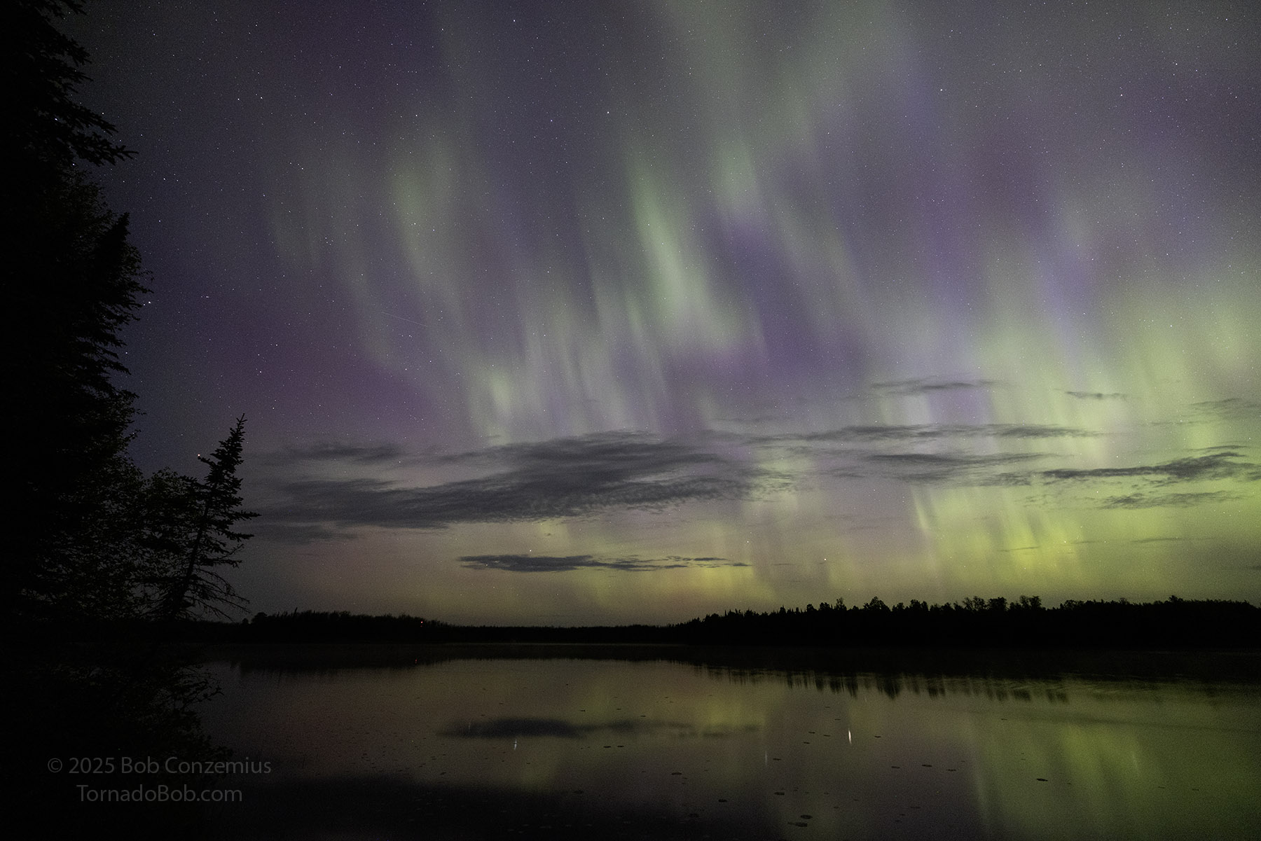 Nice Auroras