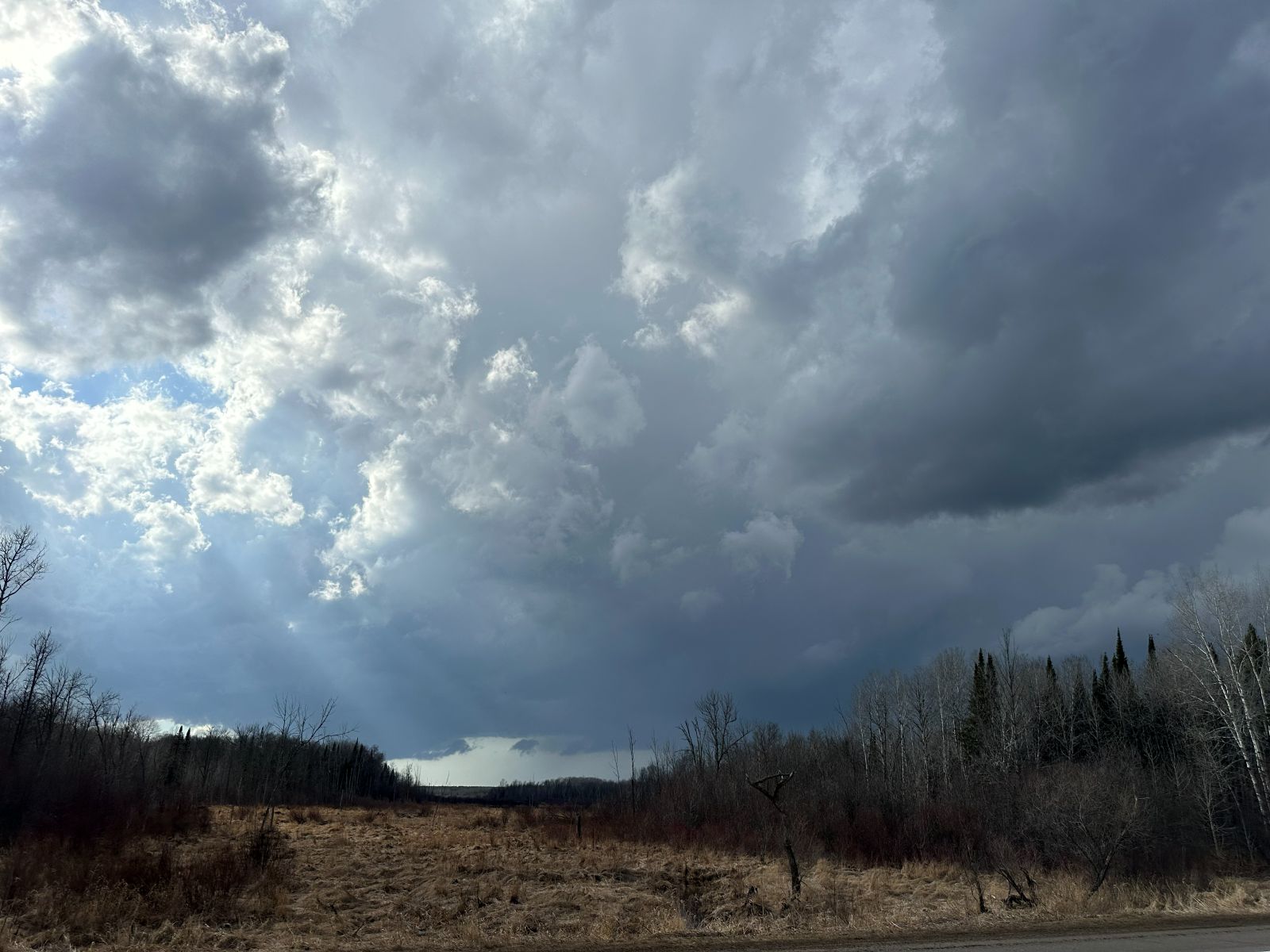 First look at the storm