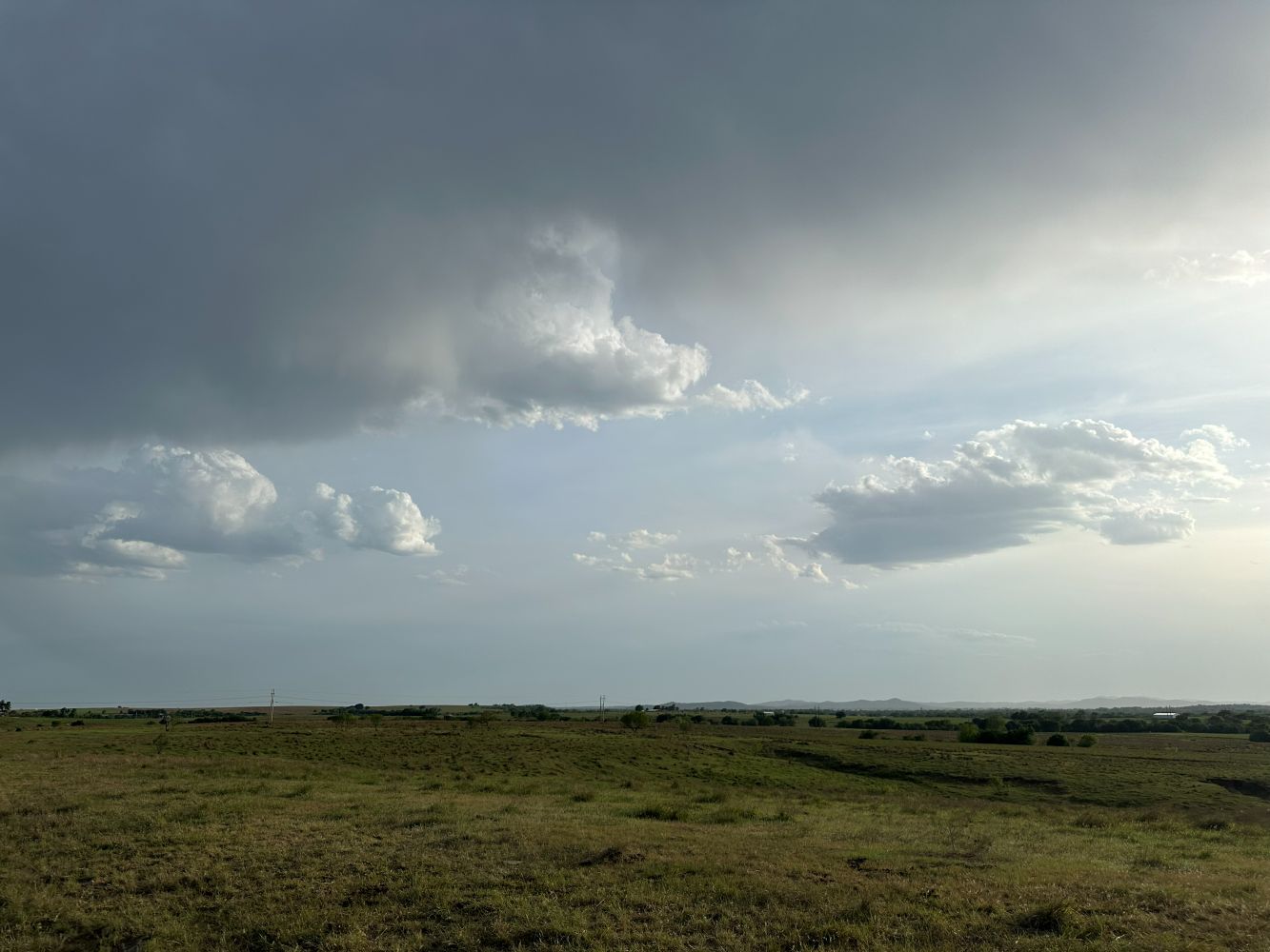 Dissipation