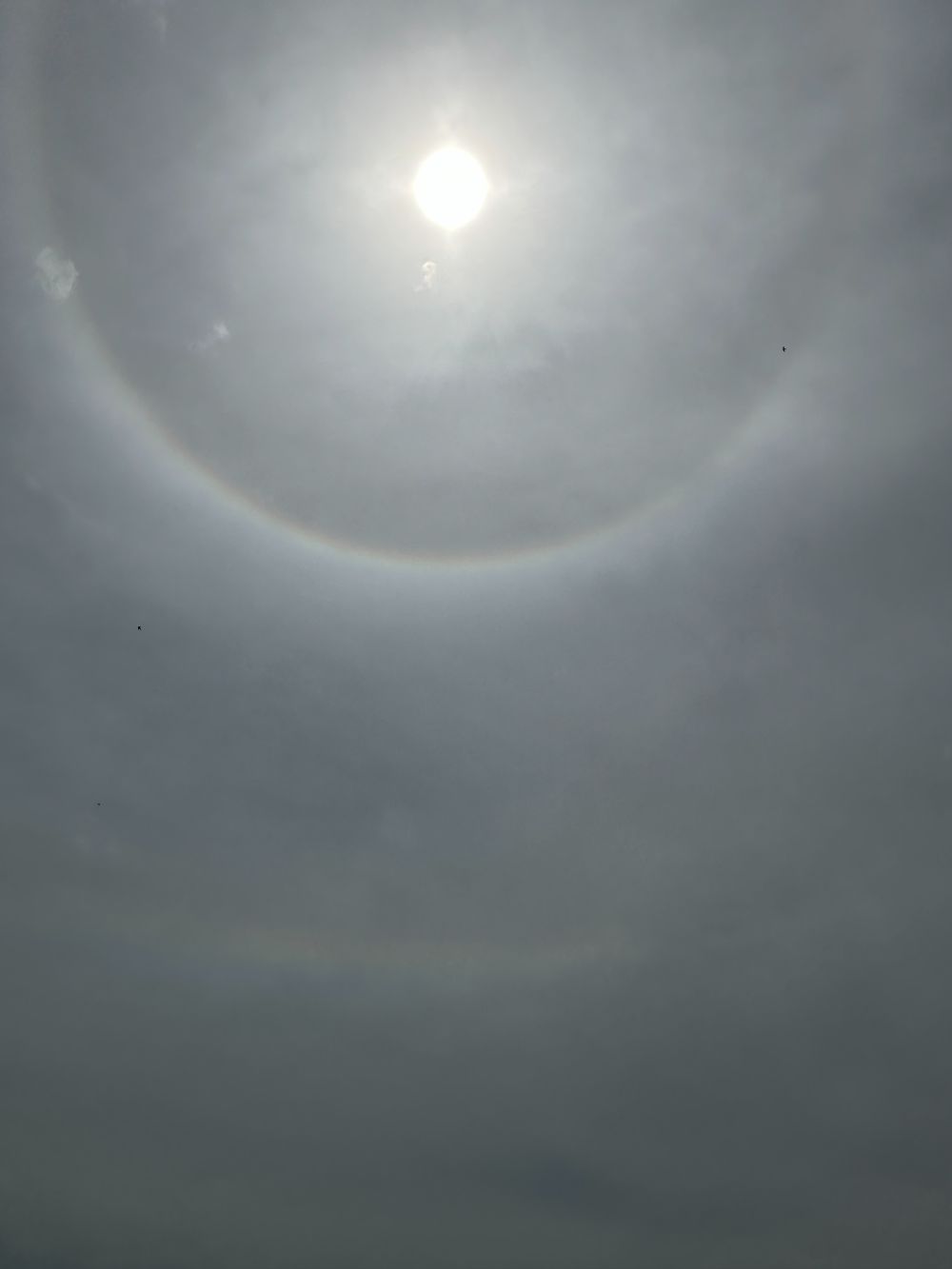 Halo