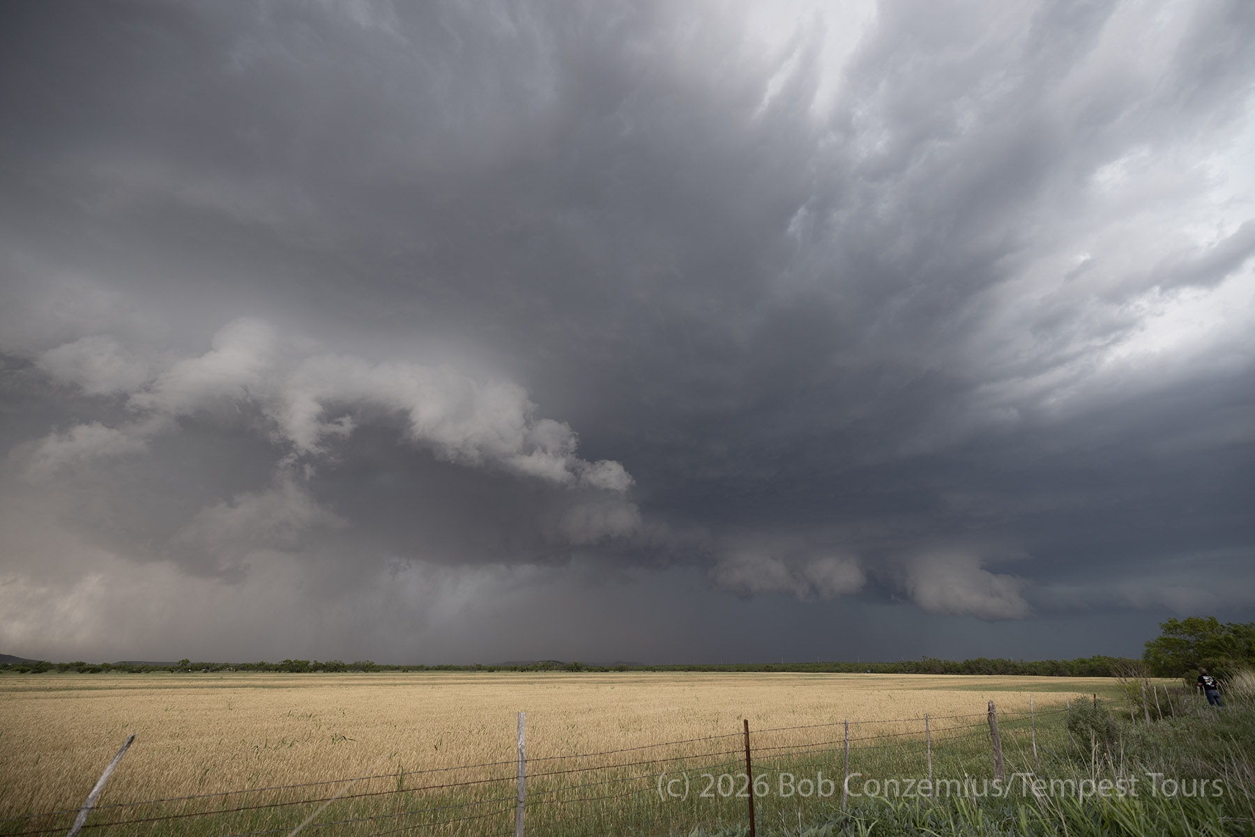 Supercell