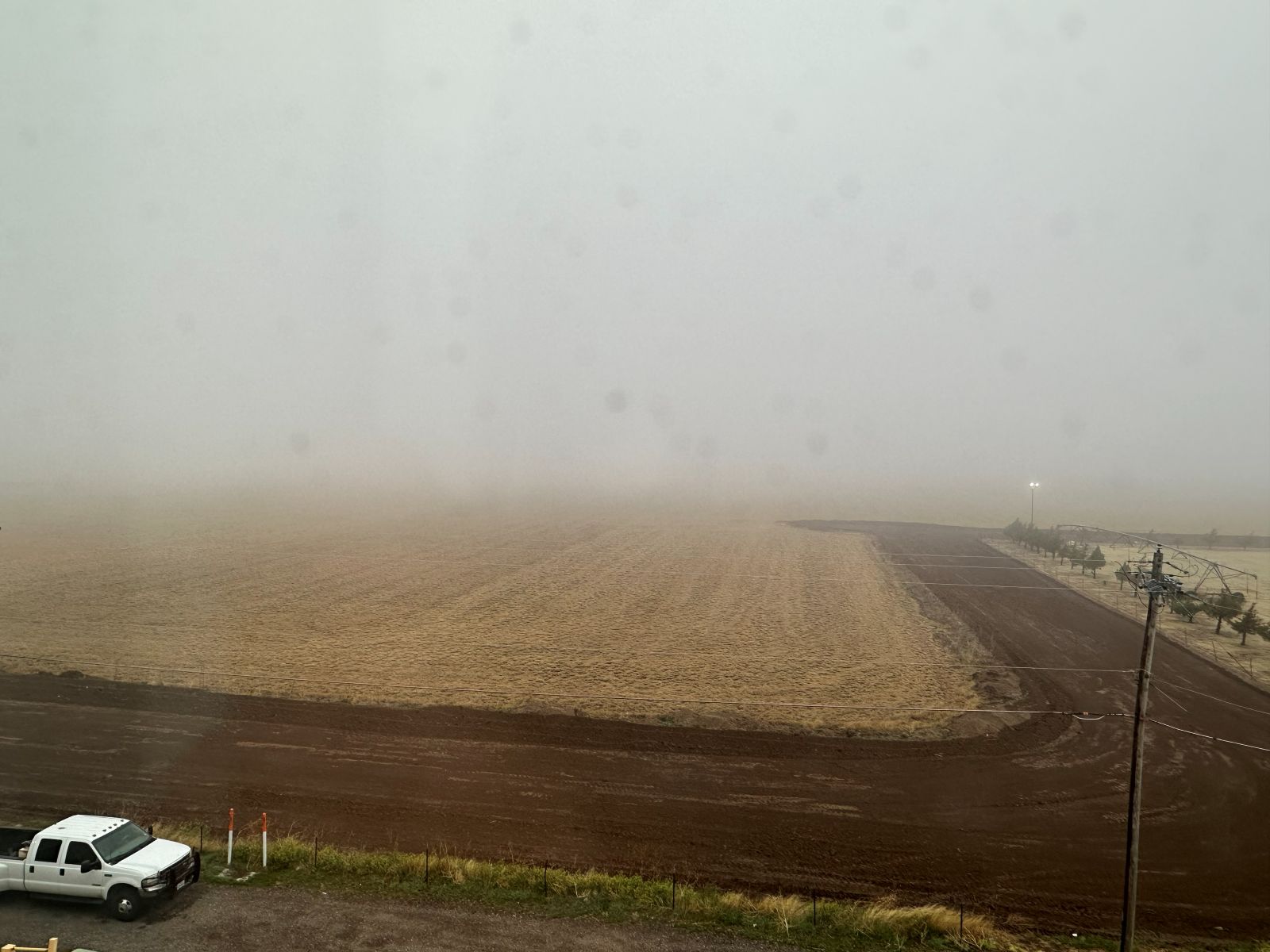 Fog and drizzle