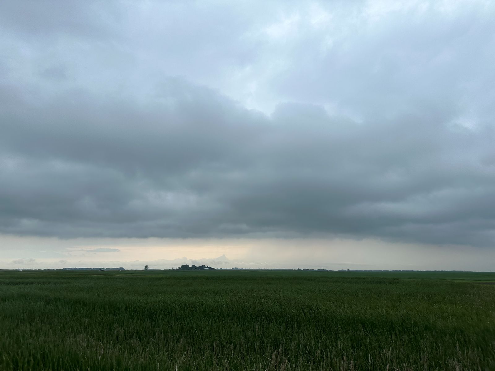dull skies